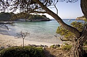 Macarella beach, Menorca, Balearic Islands, Spain, Mediterranean, Europe