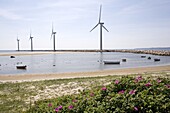 Wind farm, Ebeltoft, Denmark, Scandinavia, Europe