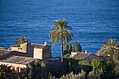 Sierra de Tramuntana, near Valdemossa, Majorca, Balearic Islands, Spain, Mediterranean, Europe