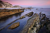 Rocky ledges of Mupe Rocks on the Jurassic Coast, UNESCO World Heritage Site, Dorset, England, United Kingdom, Europe