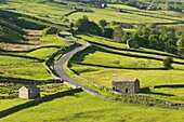 View of traditional stone barns and walls near Thwaite in Swaledale, Yorkshire, England, United Kingdom, Europe