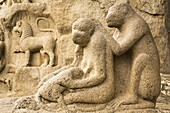 A stone sculpture depicts a group of monkeys grooming close to Arjuna's Penance within the ancient site of Mahabalipuram (Mamallapuram), UNESCO World Heritage Site, Tamil Nadu, India, Asia