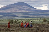 Masai, Amboseli National Park, Kenya, East Africa, Africa