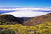 View of Parc Nacional de la Caldera de Taburiente from Roque de los Muchachos, La Palma, Canary Islands, Spain, Atlantic, Europe