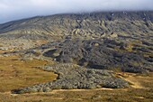 Lava flows on Mount Snaefellsjokull slopes, 1446m high volcano covered by ice, Snaefellsjokull National Park, Snaefellsnes Peninsula, Iceland, Polar Regions