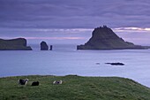 Tindholmur Island rising to 262 m, and Drangarnir natural arch at sunset, with sheep, from Vagar, Faroe Islands (Faroes), Denmark, Europe