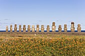 Ahu Tongariki,  the largest ahu on the Island,  Tongariki is a row of 15 giant stone Moai statues,  Rapa Nui (Easter Island),  UNESCO World Heritage Site,  Chile,  South America
