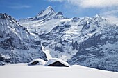 Partially buried buildings on the ski slopes in front of the Schreckhorn mountain,  4078m,  Grindelwald,  Jungfrau region,  Bernese Oberland,  Swiss Alps,  Switzerland,  Europe