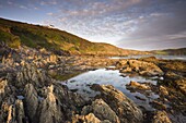 Coastal rock formations at Wembury Bay in Devon,  England,  United Kingdom,  Europe