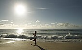 Early morning female runner,  Bondi beach,  Sydney,  New South Wales,  Australia,  Pacific