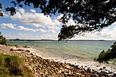 Beach,  Noosa,  Queensland,  Australia,  Pacific