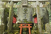 Fushimi Inari-taisha Shrine, Kyoto, Kansai (Western Province), Honshu, Japan, Asia