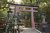 Entrance, Kasuga-Taisha Shrine, UNESCO World Heritage Site, Nara, Kansai (Western Province), Honshu, Japan, Asia