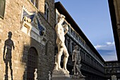 Statue of David with shadow, Ufizzi in background, Piazza Della Signoria, Florence, UNESCO World Heritage Site, Tuscany, Italy, Europe