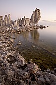 Tufa formations at first light, Mono Lake, California, United States of America, North America