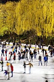 Wollman Ice rink in Central Park, Manhattan, New York City, New York, United States of America, North America