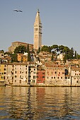 The Cathedral of St. Euphemia and the colorful old Venetian style buildings of Rovinj reflected in the sea at sunrise, Istria, Croatia, Europe