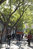 A tree lined avenue in a local neighbourhood Hutong area of Beijing, China, Asia