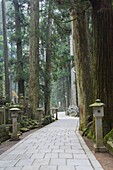 Entrance Path (Sando), Okunoin graveyard, site of 20000 Buddhist gravestones, Koya-san, Kansai (Western Province), Honshu, Japan, Asia