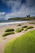 Minnard Beach, Dingle, County Kerry, Munster, Republic of Ireland, Europe