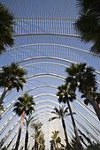 L'Umbracle, Ciutat de les Arts i de les Ciencies, City of Arts and Sciences, Valencia, Costa del Azahar, Spain, Europe