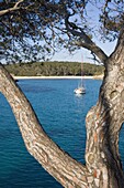 Natural park Cala Mondrago, Santanyi, Majorca, Balearic Islands, Spain, Mediterranean, Europe