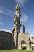 St. Andrews Cathedral, Fife, Scotland, United Kingdom, Europe