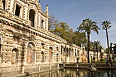 Grotesque gallery and Mercury pond in Reales Alcazares Gardens (Alcazar Palace Gardens), Seville, Andalusia, Spain, Europe