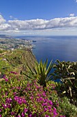 Looking towards Funchal from Cabo Girao, 580m, one of the world's highest sea cliffs on the south coast of the island of Madeira, Portugal, Atlantic, Europe
