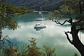 Duncan Bay, Tennyson Inlet, Marlborough Sounds, Marlborough, South Island, New Zealand, Pacific