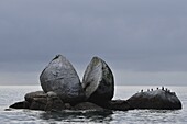Split Apple Rock, Marakau, Abel Tasman National Park, South Island, New Zealand, Pacific