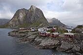 Reine village with typical red rorbuer and cod drying flakes, Moskenesoy island, Lofoten archipelago, Nordland county, Norway, Scandinavia, Europe