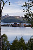 Little harbour in a fjord close to Sortland village, Langoya island, Vesteralen archipelago, Troms Nordland county, Norway, Scandinavia, Europe