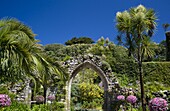 A stone arch, remains of the 12 century Priory of St. Nicholas, surrounded by palm trees and subtropical succulents in The Abbey Gardens, Tresco, Isles of Scilly, United Kingdom, Europe