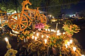 Flowers symbolizing the life of a passionate cyclist, Dia de Muertos (Day of the Dead) celebrations in a cemetery in Tzintzuntzan, Lago de Patzcuaro, Michoacan state, Mexico, North America