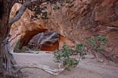 Navajo Arch, Arches National Park, Utah, United States of America, North America