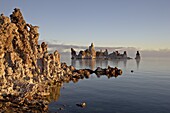 Early morning light on the tufa formations, Mono Lake, California, United States of America, North America