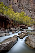 Cascades on the Virgin River in the fall, Zion National Park, Utah, United States of America, North America