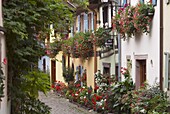 Street in the heritage village of Eguisheim, Alsatian Wine Road, Haut Rhin, Alsace, France, Europe