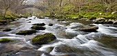 East Lyn River and bridge at Watersmeet, Exmoor National Park, Devon, England, United Kingdom, Europe