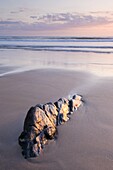 Rock and sand at sunset, Sandymouth Bay, Cornwall, England, United Kingdom, Europe