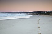 Man jogging on beach at dawn, Plettenberg Bay, Western Cape, South Africa, Africa