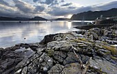 View over Loch Carron at dawn from rocks near the harbour, Plockton, Kintail, Highlands, Scotland, United Kingdom, Europe