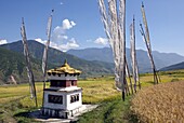 Chorten and prayer flags in the Punakha Valley near Chimi Lhakhang Temple, Punakha, Bhutan, Himalayas, Asia