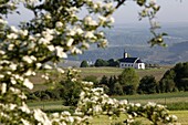 Spring landscape with little church near Nittel, Mosel-Valley, Rhineland-Palatinate, Germany, Europe