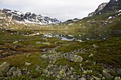 Hardangervidda, Telemark, Norway, Scandinavia, Europe