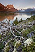 Dusty Star Mountain, St. Mary Lake, and wildflowers at dawn, Glacier National Park, Montana, United States of America, North America
