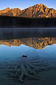 First light at Patricia Lake, Jasper National Park, UNESCO World Heritage Site, Alberta, Rocky Mountains, Canada, North America