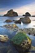 Rocky ledges and sea stacks of Mupe Rocks on the Jurassic Coast, UNESCO World Heritage Site, Dorset, England, United Kingdom, Europe