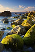 The rocky shore of West Weares on Portland, looking towards Chesil Beach, Jurassic Coast, UNESCO World Heritage Site, Dorset, England, United Kingdom, Europe